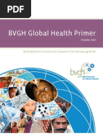 Download BVGH Global Health Primer 10Dec07 by hst939 SN2052231 doc pdf
