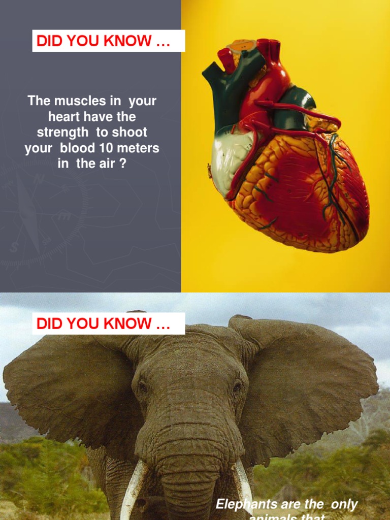 Uncommon Facts You Didn't Know | PDF | Ellipsis