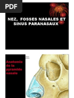 DR Bayoud Fosses Nasales PDF