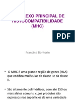 Complexo Principal de Histocompatibilidade (Mhc)