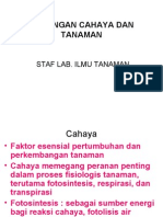 6_hubungan_cahaya_tanaman