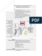 Fundamentos Lubri