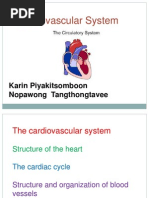 Cardiovascular System