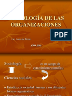 SOCIOLOGIA_DE_LAS_ORGANIZACIONES.ppt