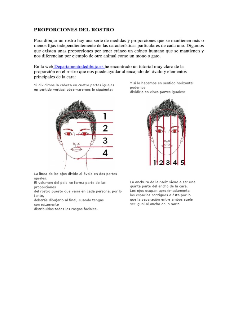 Proporciones del Rostro Humano | PDF | Cara | Homo Sapiens