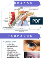 Clase Parpados PDF