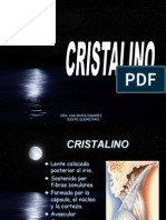 8 CRISTALINO.pdf