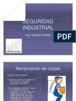 Manipulacion de Cargas PDF