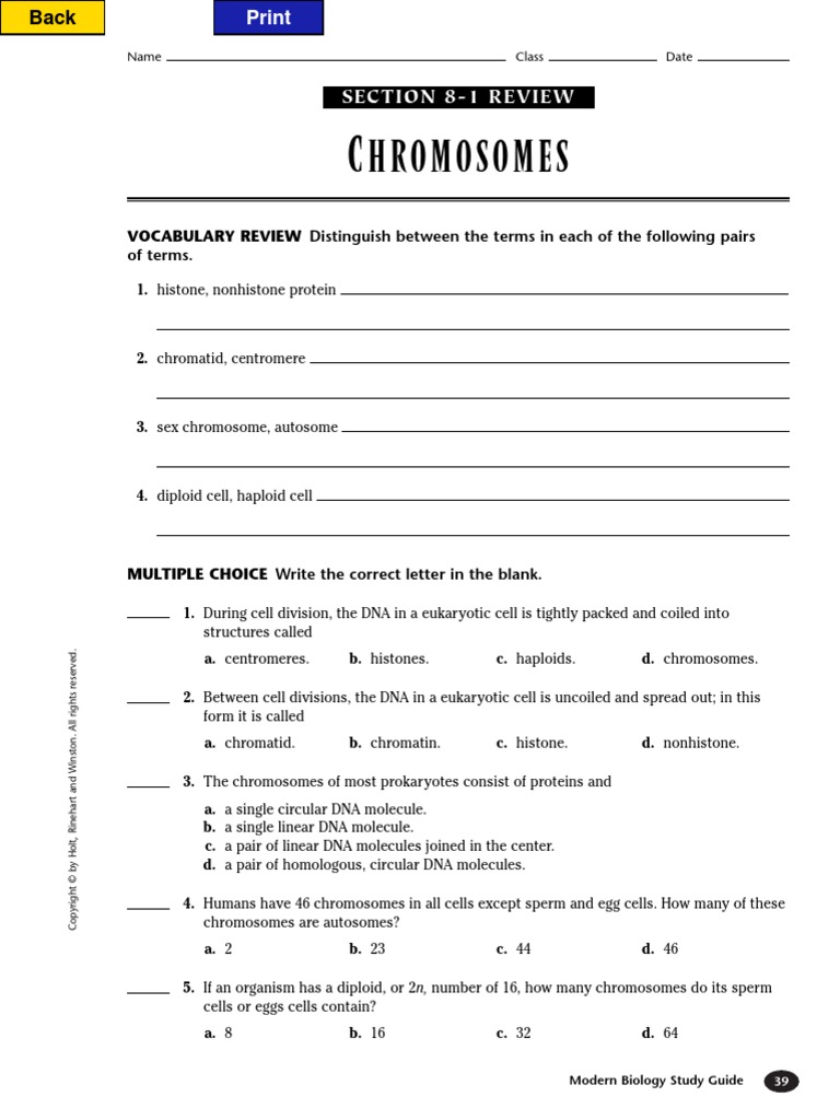 Chapter 8 Biology | Pdf | Meiosis | Dominance (Genetics)