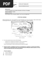Ficha de Trabalho 2 Biologia 12