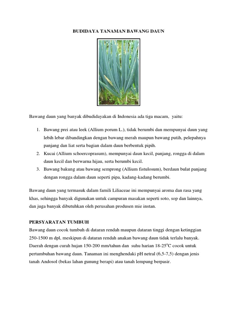 Tanaman Yang Cocok Tumbuh Di Dataran Rendah Yaitu - Tips Mencocokan