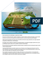 Agricultura Irrigada Sustentável e o Ciclo Hidrológico PDF
