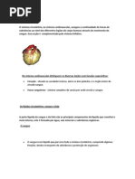 Sistema Circulatório.docx