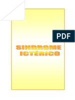 Sindrome Ictérico PDF