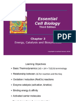 Essential Cell Biology: Energy, Catalysis and Biosynthesis