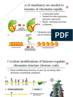 Rea Lec 8 DNA Replication