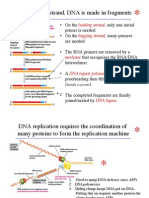 Rea Lec 9 DNA Replication