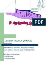 Cedera Medula Spinalis