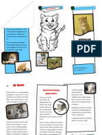 El Gato PDF