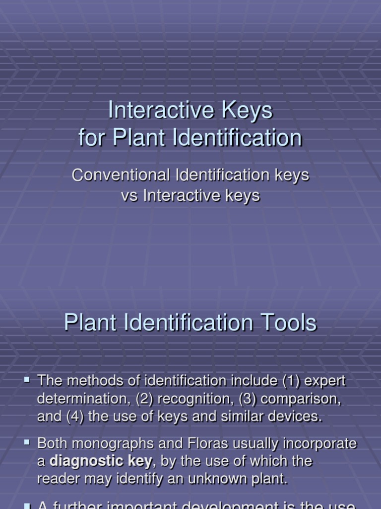 Interactive Plant Identification Keys | PDF | Fruit | Petal