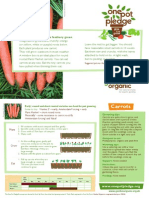 Carrots - Organic Growing Guides for Teachers + Students + Schools