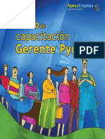 Libro Gerente Pyme 2013