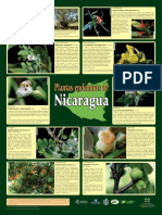 Plantas Endemicas Nicaragua Afiche