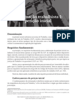 Prática Trabalhista Reclamação Trabalhista I Petição Inicial Daniele Sehli.pdf