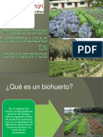 Produccion de Hortalizas en Biohuertos