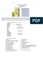 Anotimpurile Test