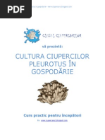 Cultura Ciupercilor Pleurotus in Gospodarie