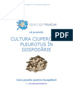 Cultura Ciupercilor Pleurotus in Gospodarie