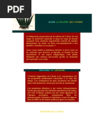 Download Aloe Vera by hendrix2112 SN205574395 doc pdf