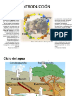 CICLOS bIOGEOQUIMICOS