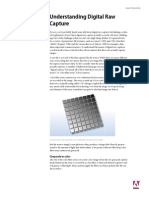 Understanding Digitalrawcapture