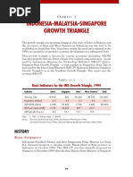 Download Singapore Johor Riau Growth Triangle by Balazs Alekszandrovics Szalontai SN205612819 doc pdf