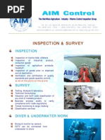 Download Surveyor by Inspection SN20562138 doc pdf