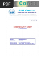 Download Pre-Purchase Condition Survey Report on MV XINHE by Inspection SN20562408 doc pdf