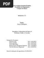 Relatório Lab. Fisica Força centripeta final
