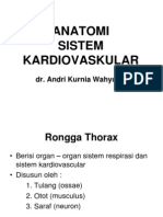 Anatomi Sistem Kardiovaskuler