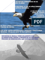 Aguila.pps