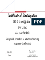 Certificate Completing Safety Guide On Internship