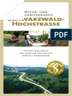 Schwarzwaldhochstrasse PDF