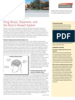 Drug Abuse, Dopamine, and The Brain'S Reward System: Researchupdate