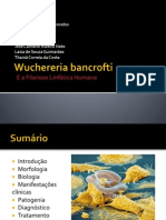 Wuchereria Bancrofti