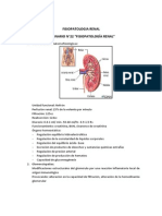 PDF Fisiopatologia Renal