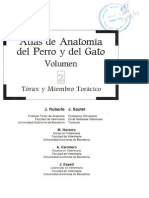 Atlas de Anatoma Del Perro y Del Gato Vol-II y Miembro Toracico