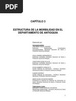 3.Capitulo Estructura de La Morbilidad 17-02-2012