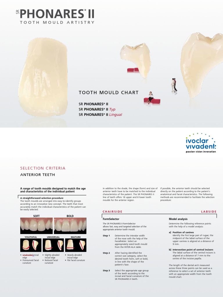 SR Phonares II Tooth Mould Chart Tooth Dentures