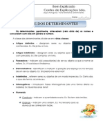 3 - Ficha Informativa - Determinantes
